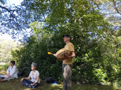 Bains d’arbre