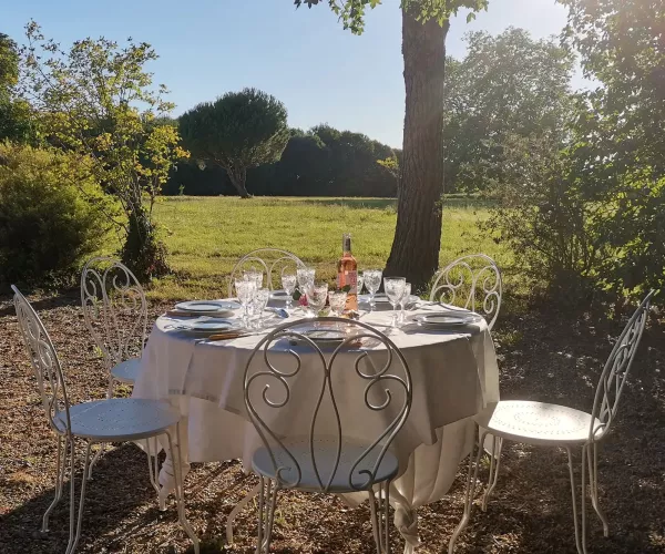 Déjeuner et dîner en extérieur