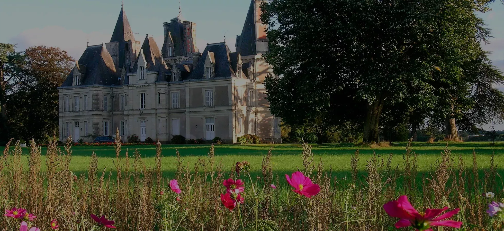 Le Parc du Château du Martreil